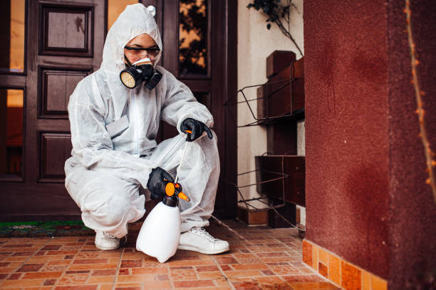 Reliable Cockroach Control contractor in Meyersdale, PA by Nex Pest Control