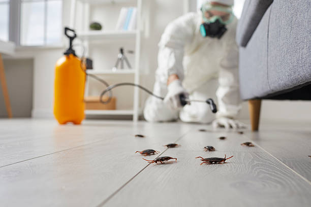 Trusted Emergency Pest Control service in Meyersdale, PA - Nex Pest Control