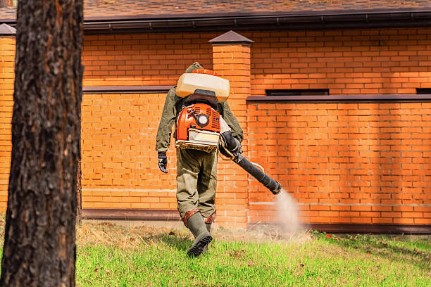 Trusted Termite Control service in Meyersdale, PA - Nex Pest Control